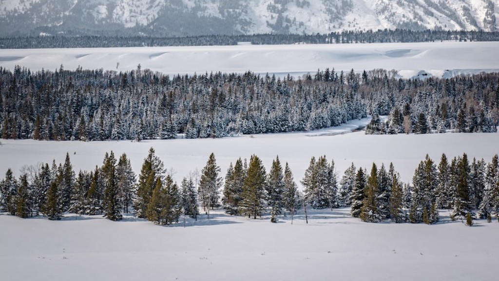 Hoe ver is Cody Wyoming van Yellowstone National Park?